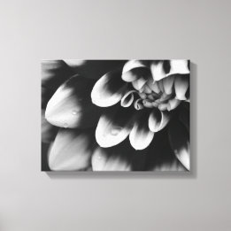 Lienzo Flor de Dahlia en blanco y negro