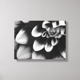 Lienzo Flor de Dahlia en blanco y negro
