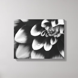 Lienzo Flor de Dahlia Negra y Blanca en Flor