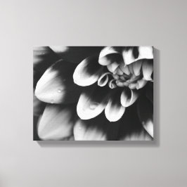 Lienzo Flor de Dahlia Negra y Blanca en Flor