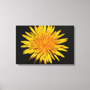 Lienzo Flor de Dandelion 24x16 (60x40cm)