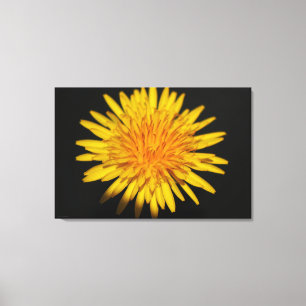 Lienzo Flor de Dandelion 36x24 (90x60cm)