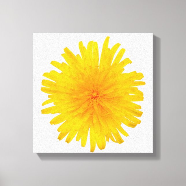 Lienzo Flor de Dandelion amarilla (Anverso)