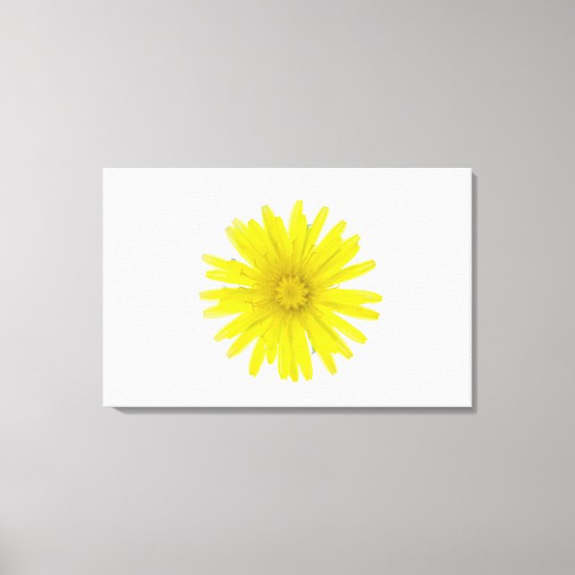 Lienzo Flor de Dandelion (Taraxacum officinale), un compo (Anverso)