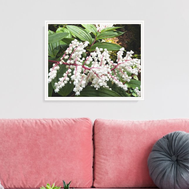 Lienzo Flor de foca de Falsa Salomón (Insitu (Sala de estar))
