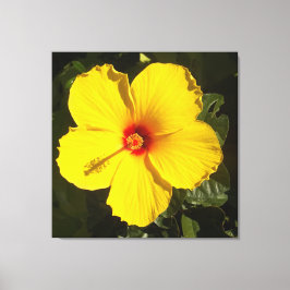 Lienzo Flor de Hibisco Amarillo