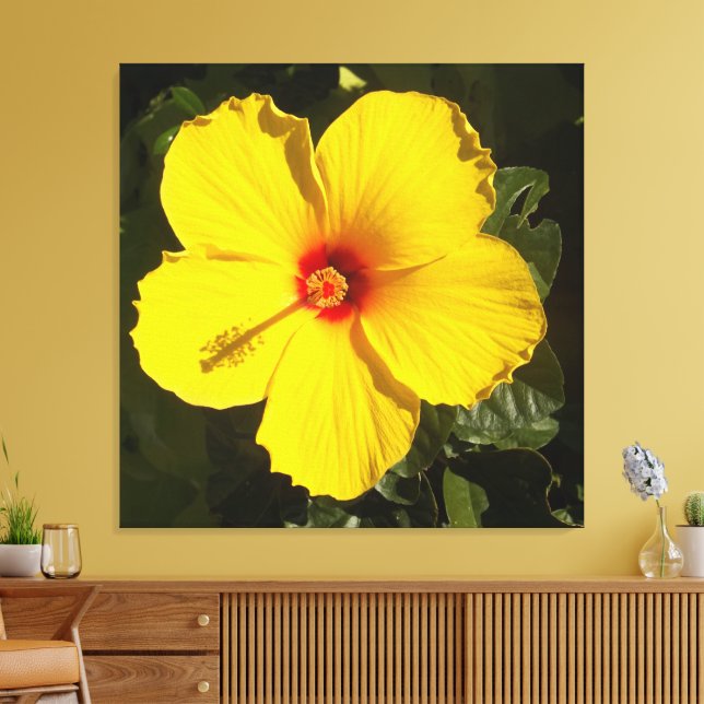 Lienzo Flor de Hibisco Amarillo (Insitu (Sala de estar))