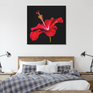 Lienzo Flor de Hibisco Rojo Vista Lateral