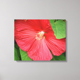 Lienzo Flor de Hibiscus brillante flor magenta