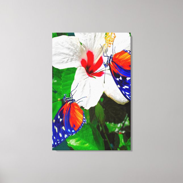 Lienzo Flor de Hibiscus con 2 mariposas tigre de largo (Anverso)
