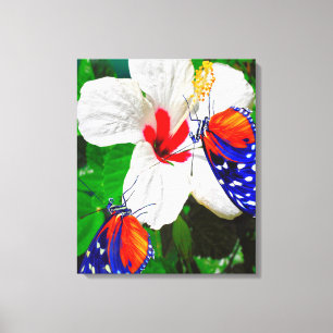 Lienzo Flor de Hibiscus con 2 mariposas tigre de largo