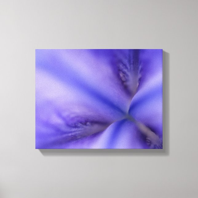 Lienzo Flor de Iris Púrpura en Primer Plano (Anverso)