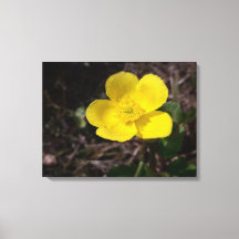 Flor de jardín amarilla