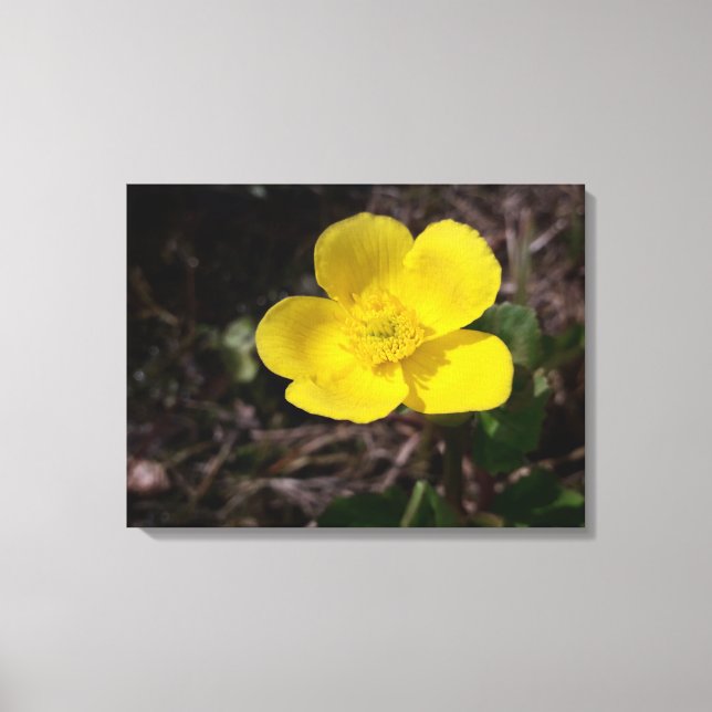 Lienzo Flor de jardín amarilla (Anverso)