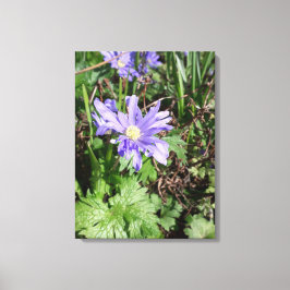 Lienzo Flor de jardín azul