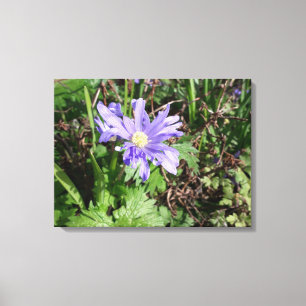 Lienzo Flor de jardín azul