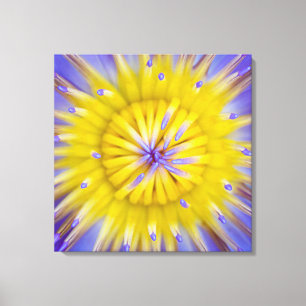 Lienzo Flor de Lily Agua