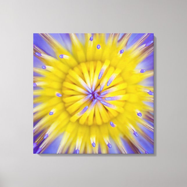 Lienzo Flor de Lily Agua (Anverso)