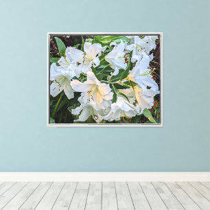 Lienzo Flor de Lily Oriental Blanca Blooms