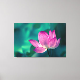 Lienzo Flor de Lily Water