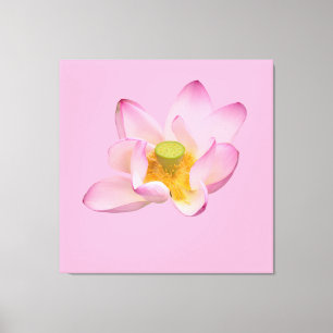 Lienzo flor de loto