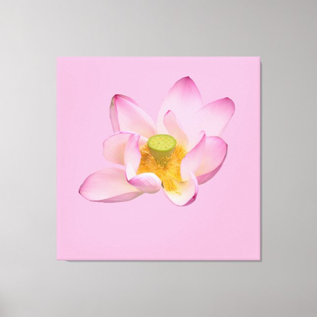 Lienzo flor de loto (Anverso)