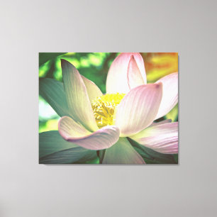 Lienzo Flor de loto colorida