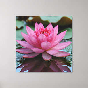 Lienzo Flor de Loto Rosa con Pétalos Vibrantes