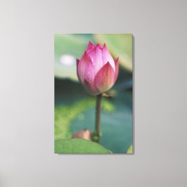 Lienzo Flor de Lotus, Hangzhou, provincia de Zhejiang,