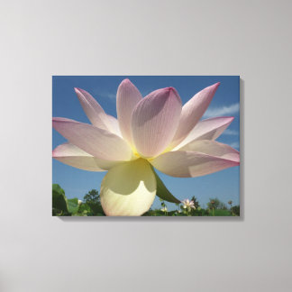 Lienzo Flor de Lotus y cielo azul II