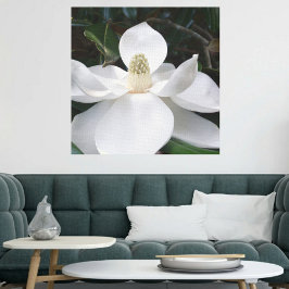 Lienzo Flor de Magnolia blanca Fotográfica Botánica