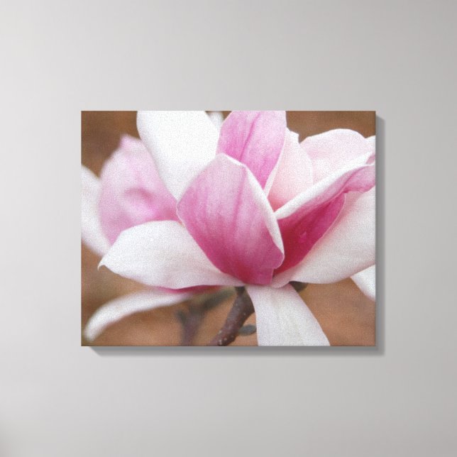 Lienzo Flor de magnolia japonesa rosa (Anverso)
