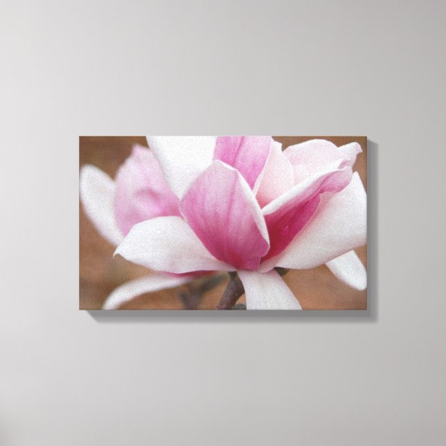 Lienzo Flor de magnolia japonesa rosa (Anverso)