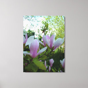 Lienzo Flor de magnolia púrpura, fresca y elegante de pri