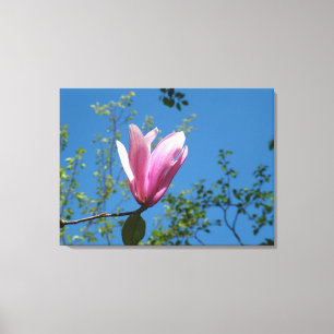 Lienzo flor de magnolia púrpura primavera en cielo azul.