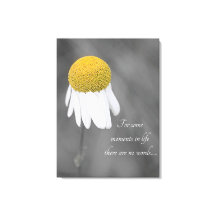 Flor de margarita amarillo