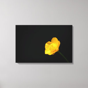 Lienzo Flor de mariposa 24x16 (60x40cm) waccna