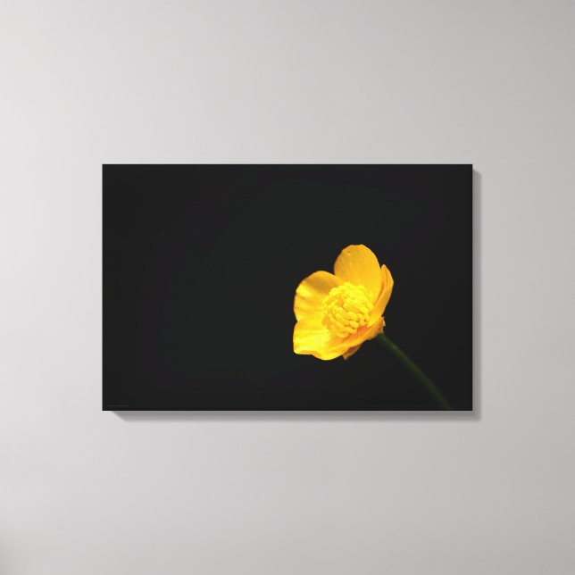Lienzo Flor de mariposa 24x16 (60x40cm) waccna (Anverso)