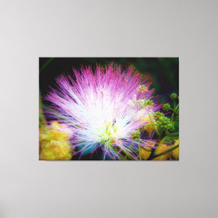 Lienzo Flor de Mimosa Rosa Vibrante