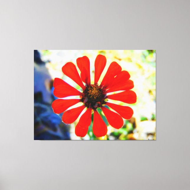 Lienzo Flor de naranja vibrante en flor (Anverso)