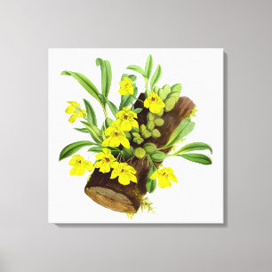 Lienzo Flor de orquídea amarilla vintada