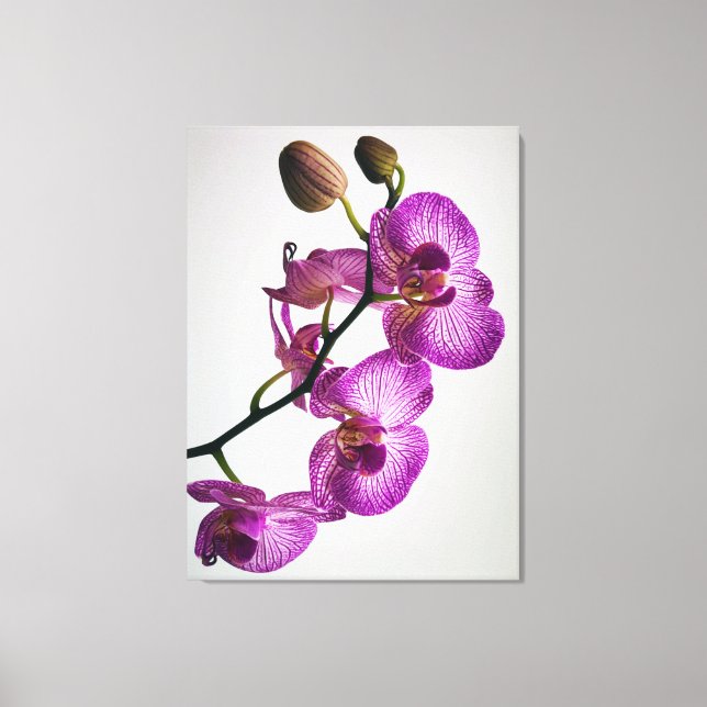 Lienzo Flor de orquídea morada (Anverso)