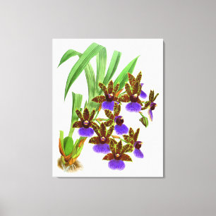 Lienzo Flor de orquídea morada vintage