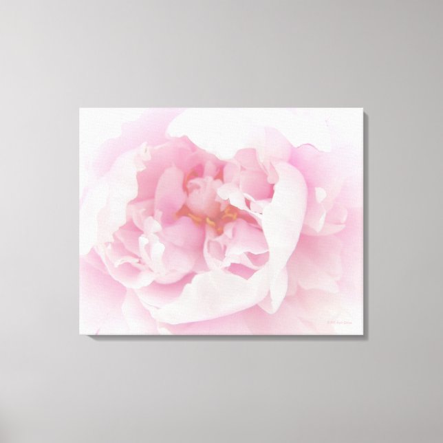 Lienzo Flor de peones rosa claro (Anverso)