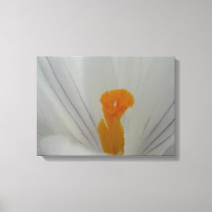 Lienzo Flor de primavera