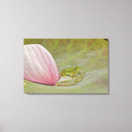 Lienzo Flor de rana y loto en pétalo, China,