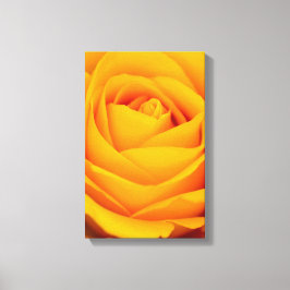 Lienzo Flor de rosa amarilla