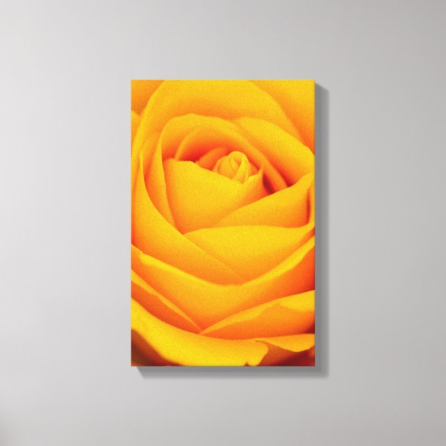 Lienzo Flor de rosa amarilla (Anverso)