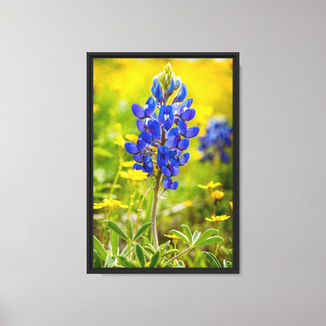 Lienzo Flor de Texas Bluebonnet con Amarillo (Anverso)