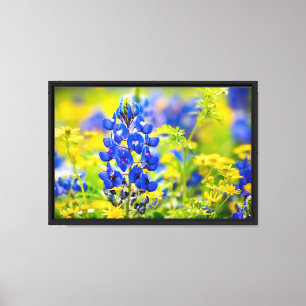 Lienzo Flor de Texas Bluebonnet con Amarillo